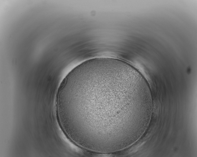 X0000090781387200707271539