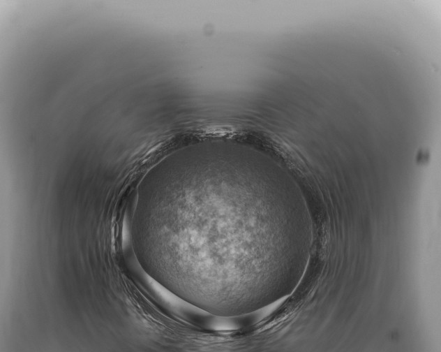 X0000090781394200707271538