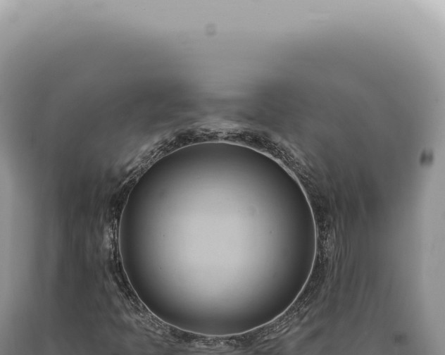 X0000090781397200707271539