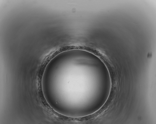 X0000090781398200707271539