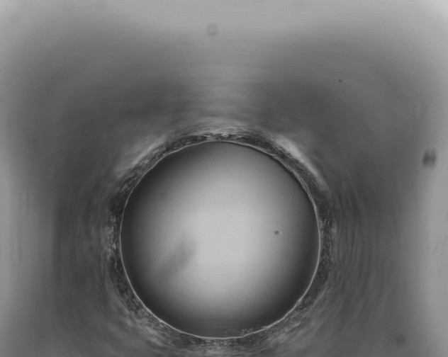 X0000090781399200707271539