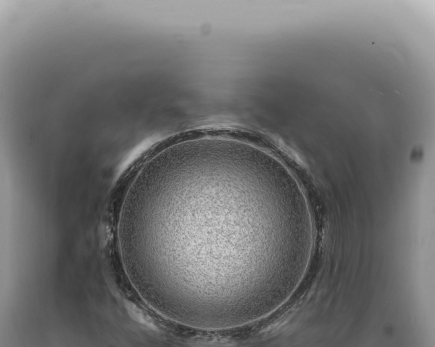 X0000090781400200707271539