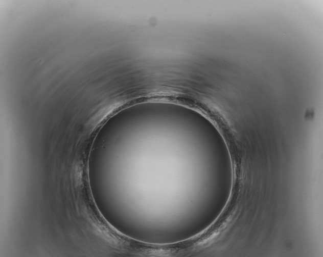 X0000090781401200707271539