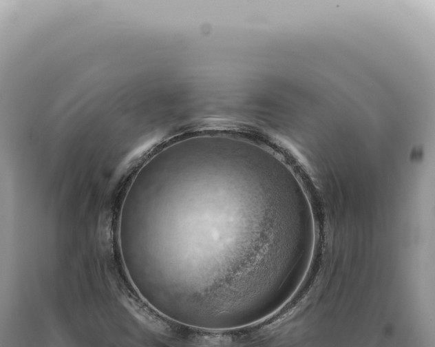 X0000090781403200707271539