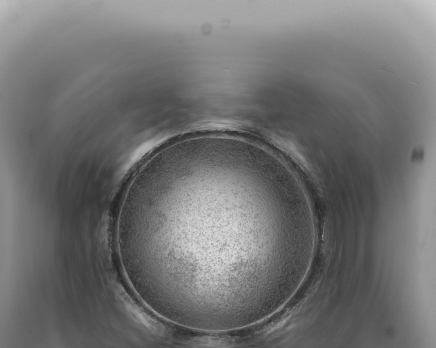 X0000090781404200707271539