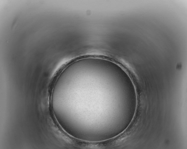 X0000090781408200707271539
