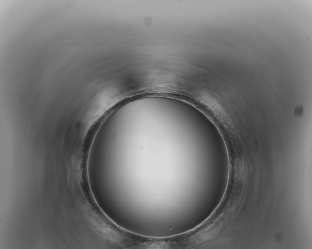X0000090781410200707271539