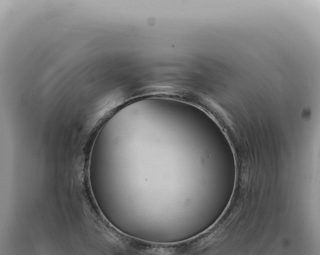 X0000090781411200707271539