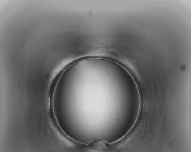X0000090781414200707271539