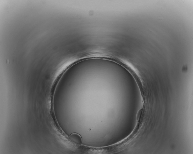 X0000090781415200707271539