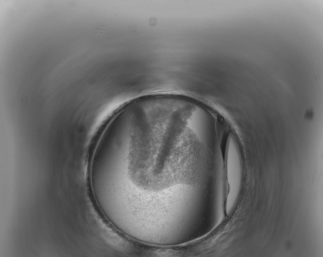 X0000090781416200707271539