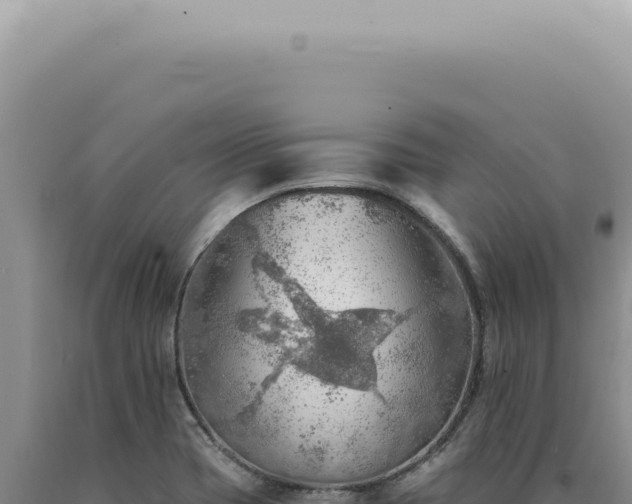 X0000090781417200707271539