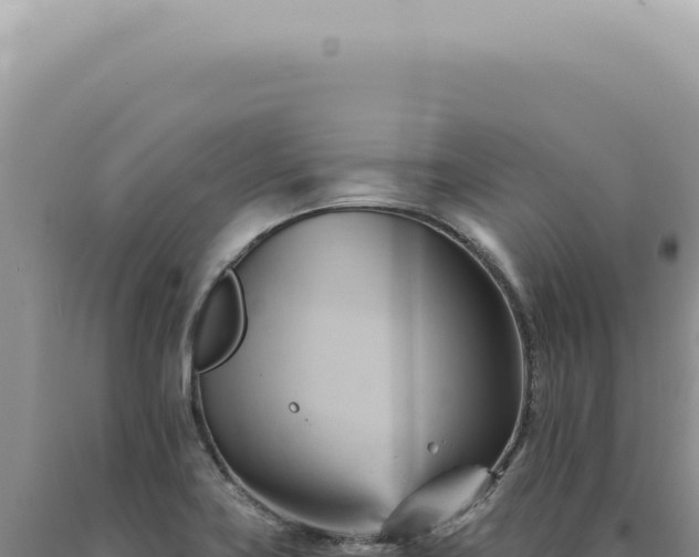 X0000090781419200707271539