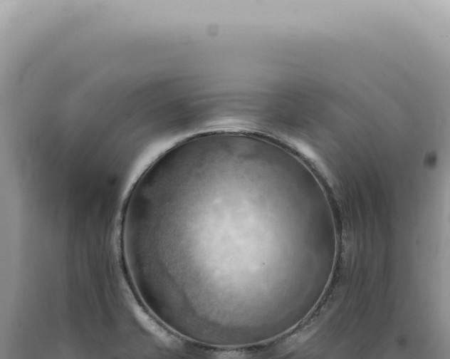 X0000090781421200707271539