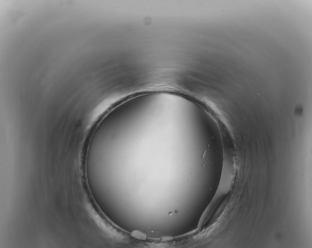 X0000090781422200707271539