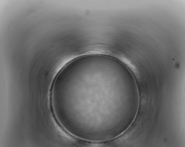 X0000090781423200707271539