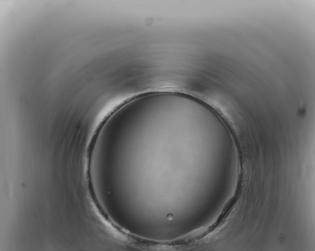 X0000090781424200707271539