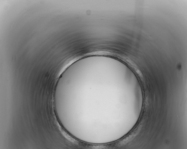 X0000090781425200707271539