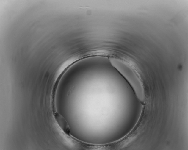 X0000090781426200707271539