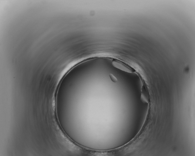 X0000090781428200707271539