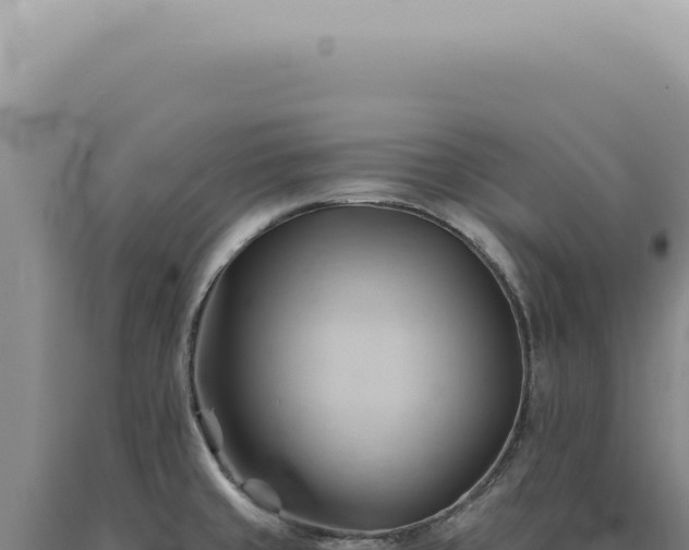 X0000090781429200707271539