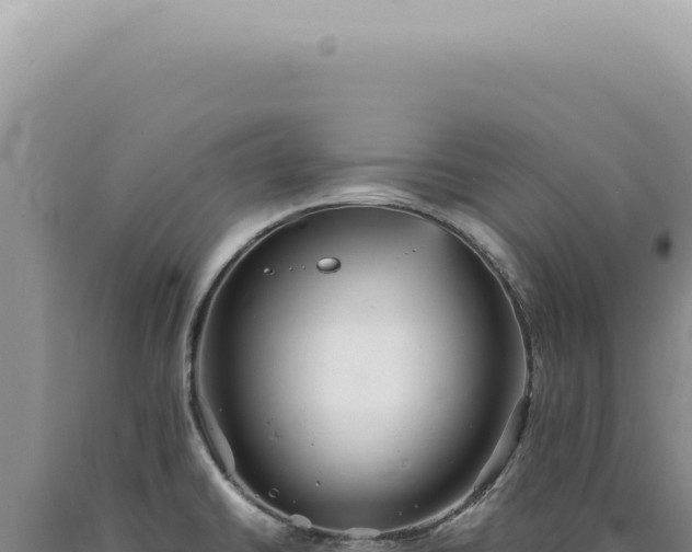 X0000090781430200707271539