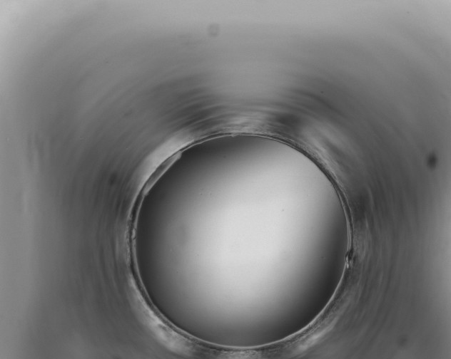 X0000090781434200707271539