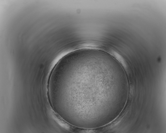 X0000090781435200707271539