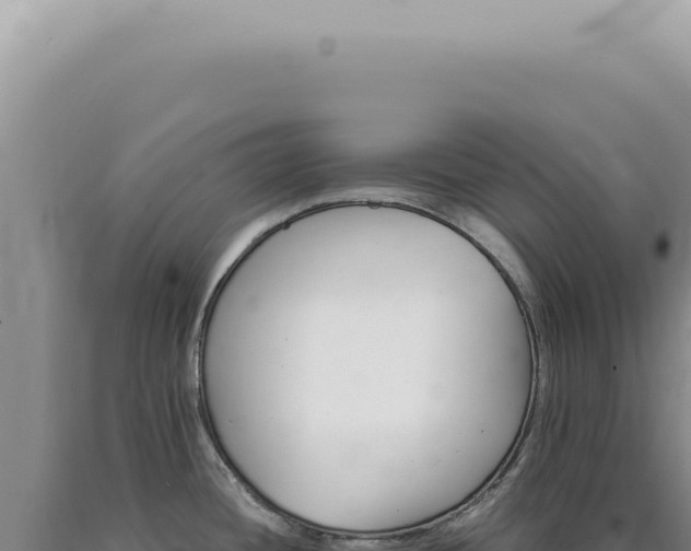 X0000090781436200707271539