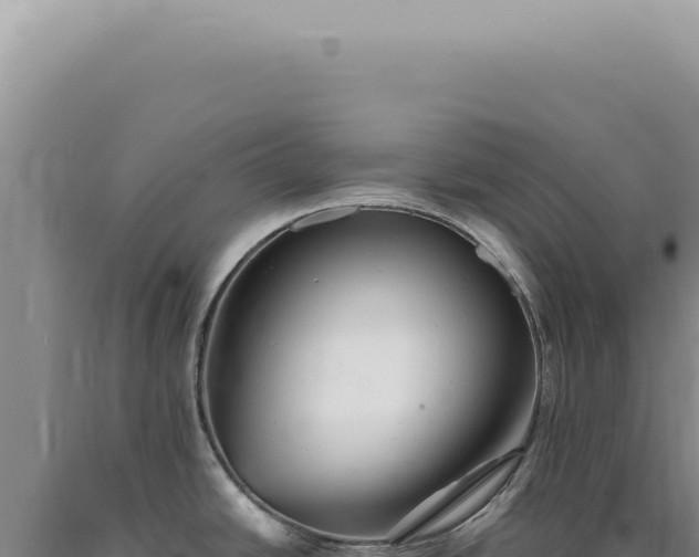 X0000090781438200707271539