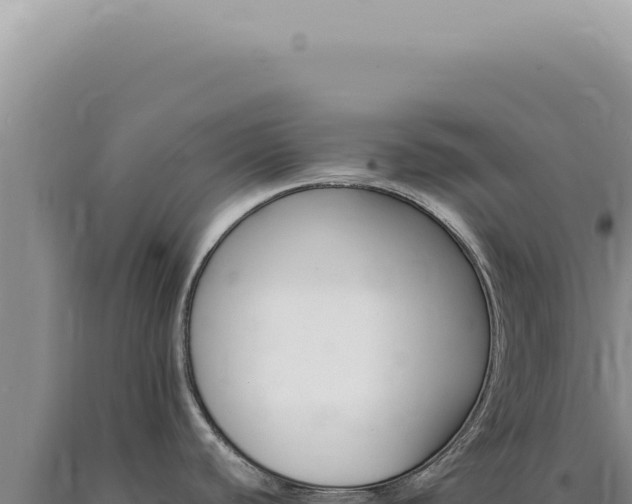 X0000090781440200707271539