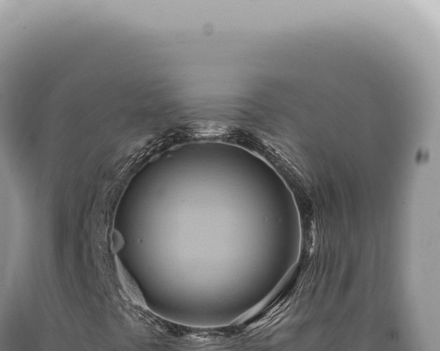 X0000090781441200707271538