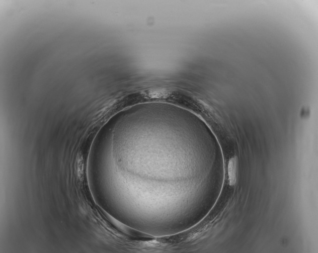 X0000090781443200707271538