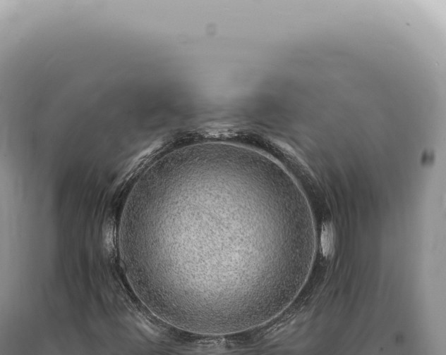 X0000090781444200707271538