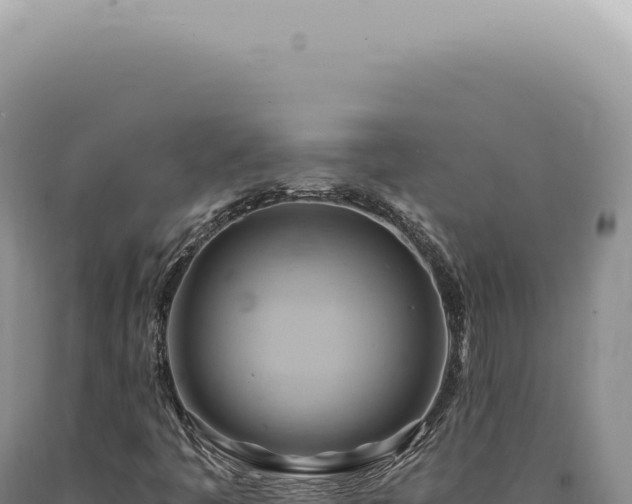 X0000090781445200707271538