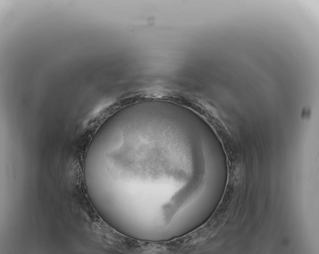 X0000090781446200707271538