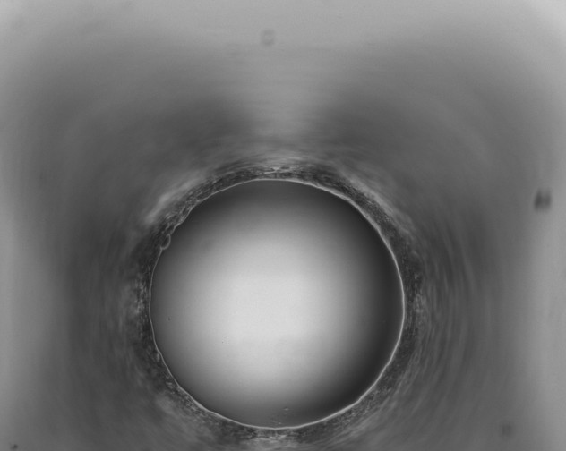 X0000090781447200707271538