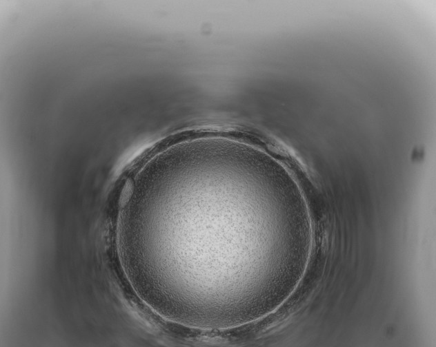 X0000090781448200707271538