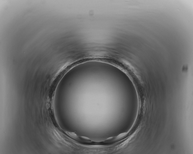 X0000090781449200707271538