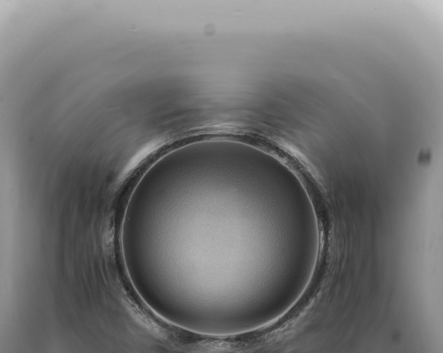 X0000090781450200707271538