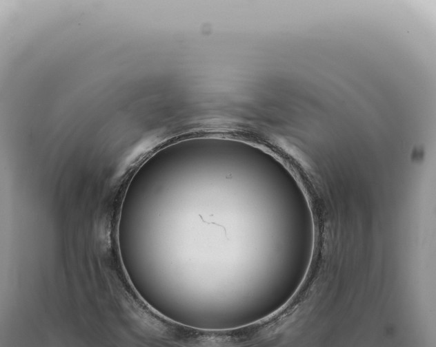 X0000090781451200707271538
