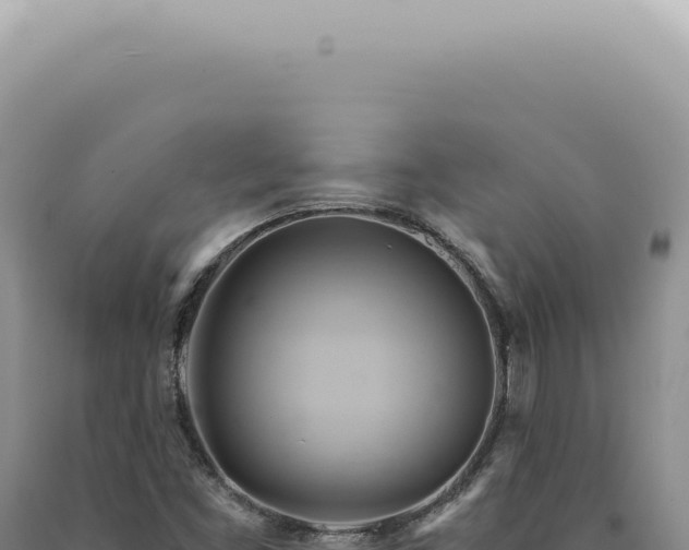X0000090781453200707271538