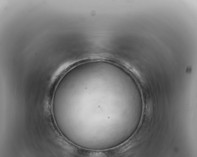 X0000090781454200707271538