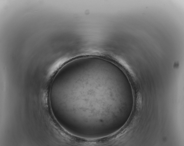 X0000090781455200707271538