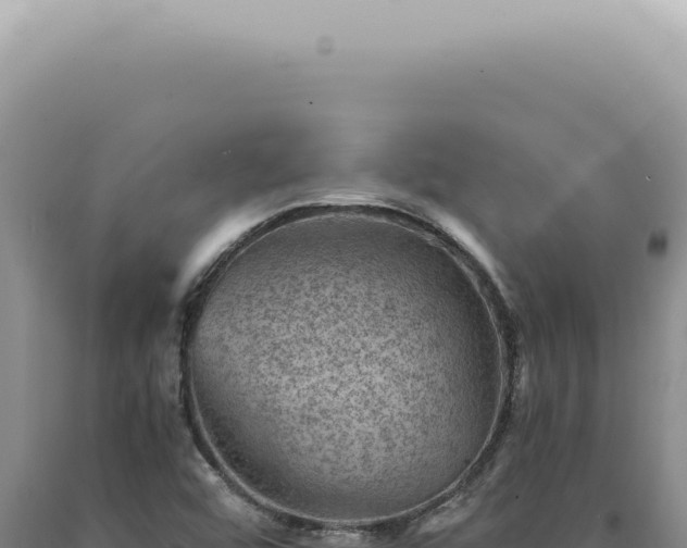 X0000090781456200707271538