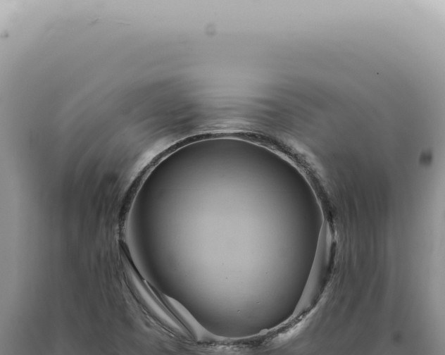 X0000090781457200707271538
