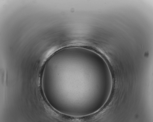 X0000090781459200707271538