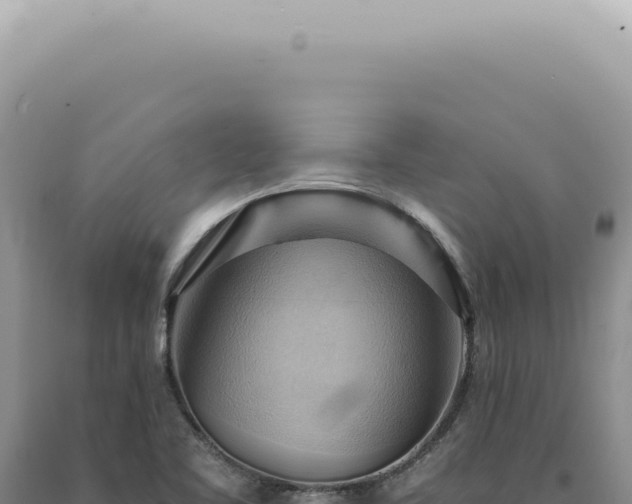 X0000090781461200707271538
