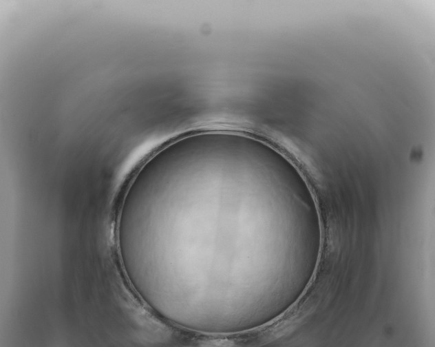 X0000090781462200707271538
