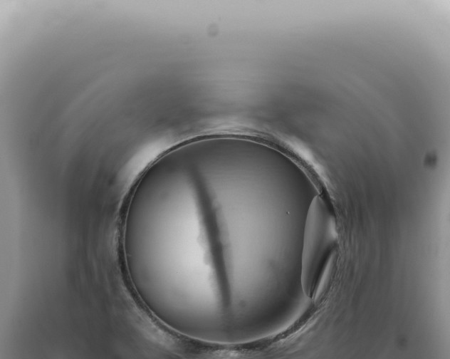 X0000090781463200707271538